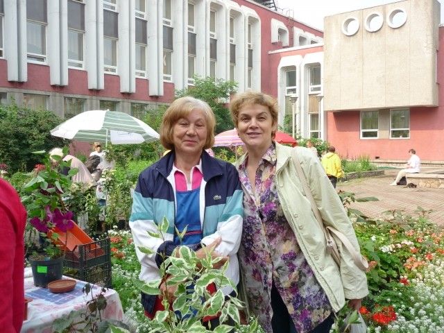 P1050038