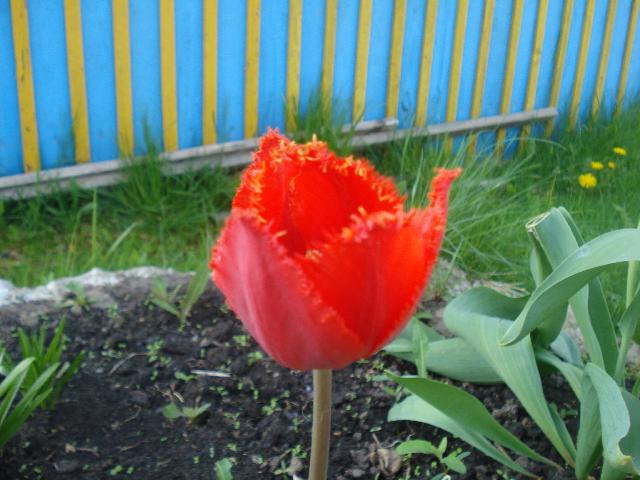 DSC00055