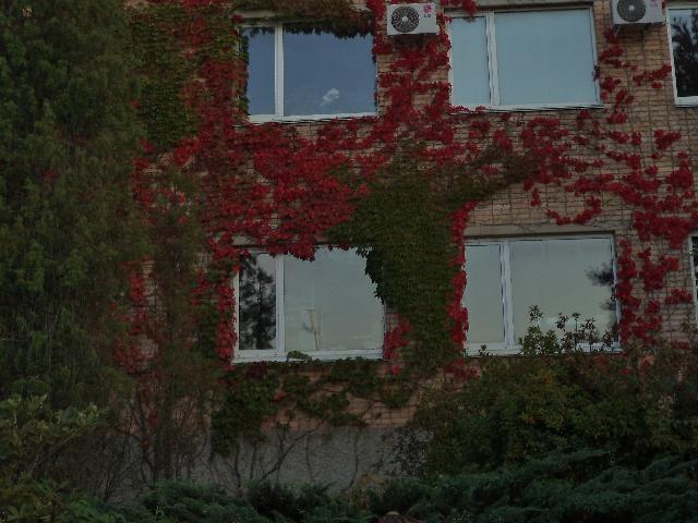 DSC01848