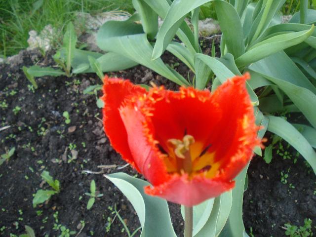 DSC00056
