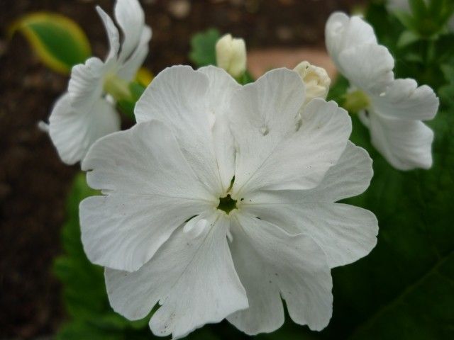 P1040298