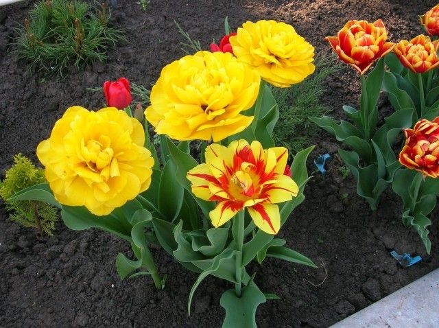 Изображение 113