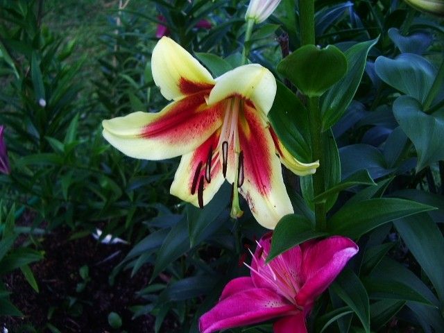 IMGP0324