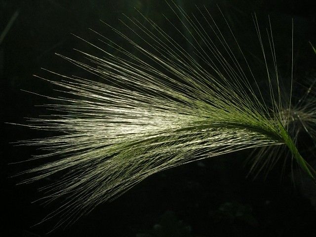 DSCN1330