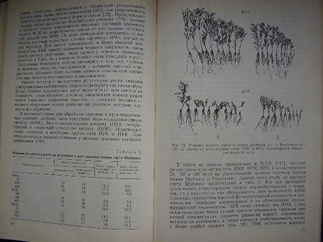 P5060003