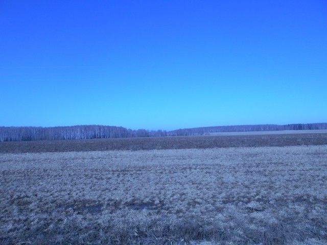 DSCN6032