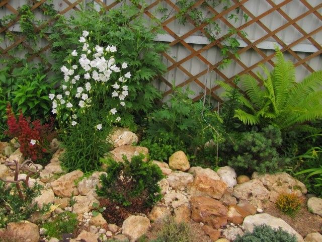 колокольчики 3