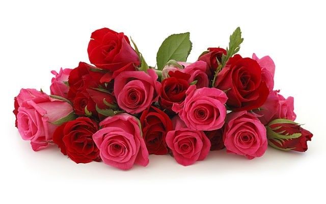 getImage  11