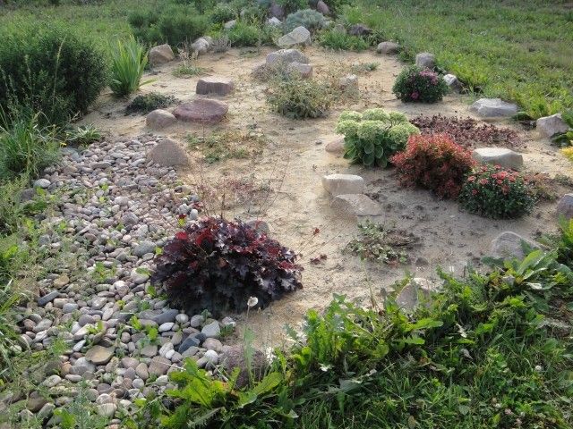 DSC01933