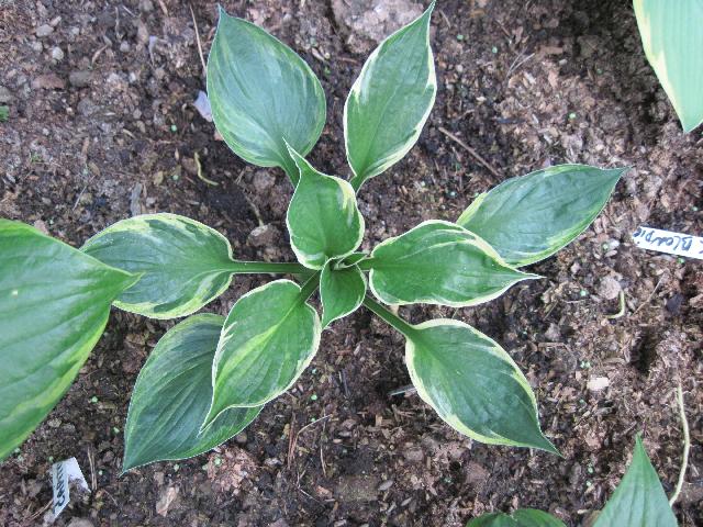 Изображение 210