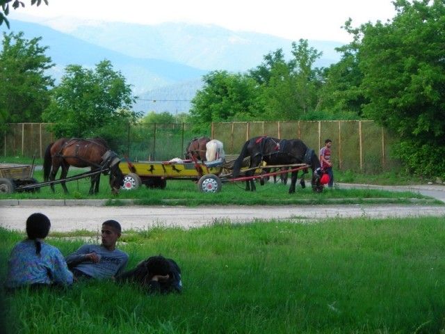 DSCN7876 изменение размера