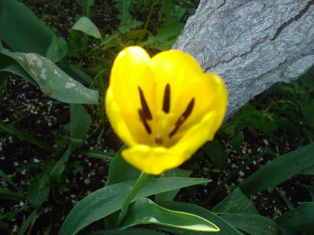 DSC00064