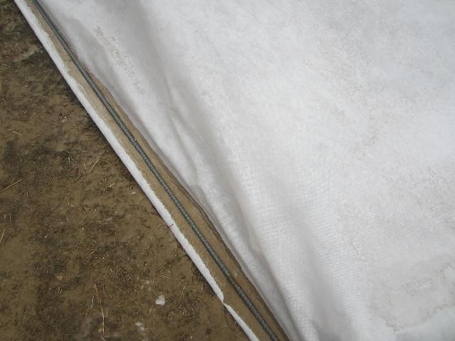 IMG 9401