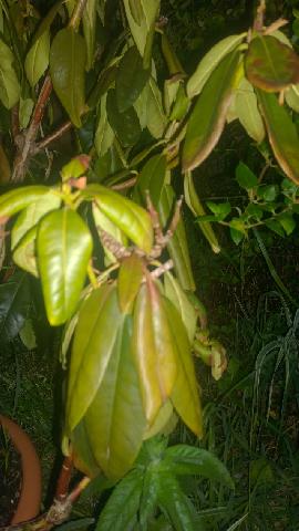 WP 20150727 21 04 35 Pro