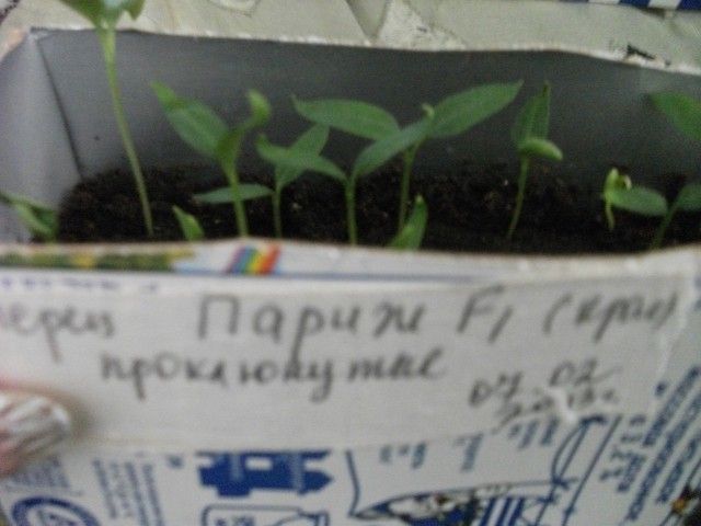DSCF2571