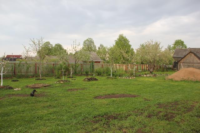 сад 2015