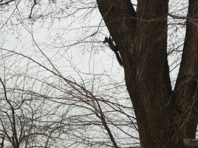 P1030817