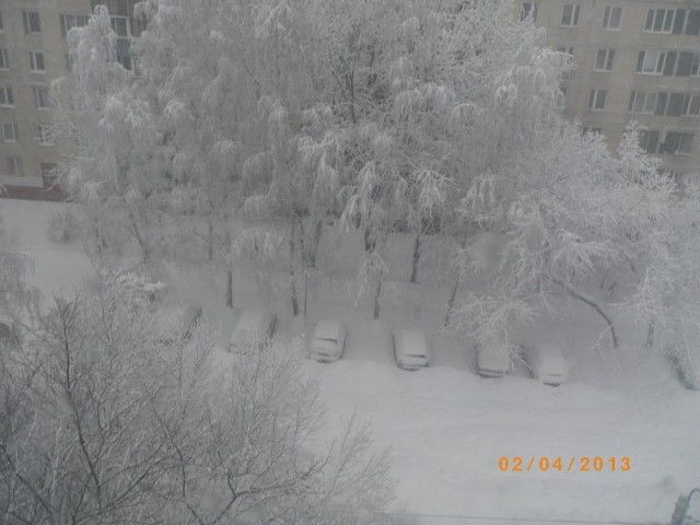 IMGP4955