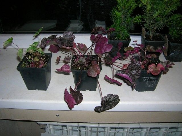 Изображение 350