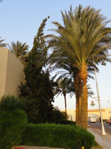DSC01755