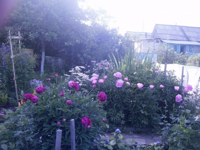 P7020050