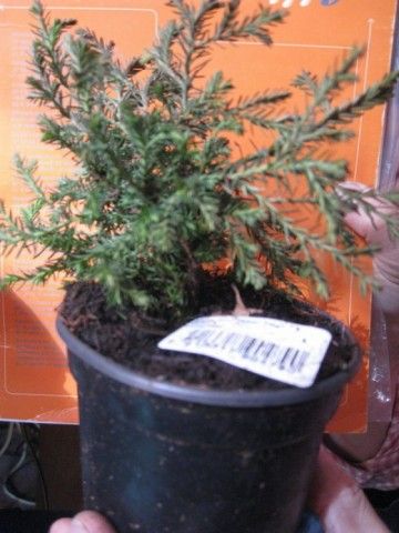 Изображение 016