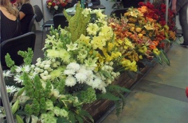 Выставка Цветы 2010