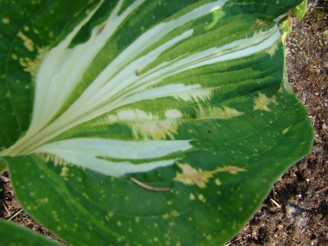 2013 06 21 001 010