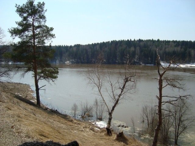 DSC06348