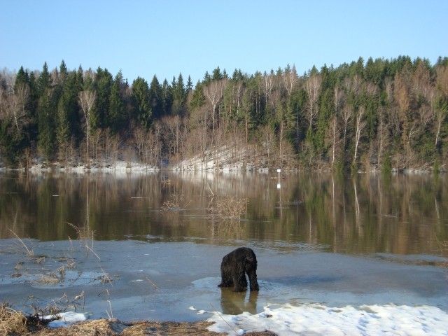 DSC06340