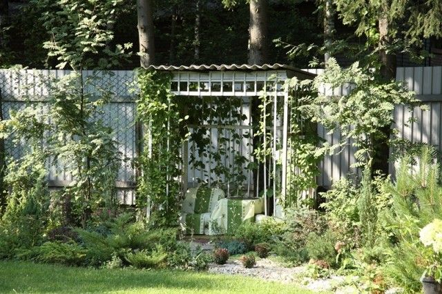 MG 2558  Копировать