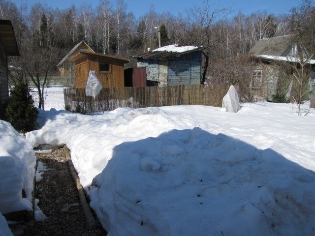 IMG 4483