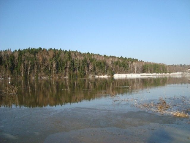 DSC06343