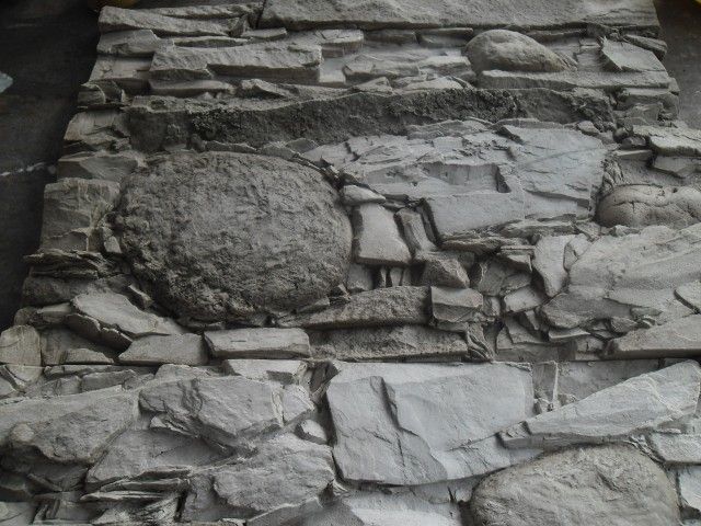 SAM 1688