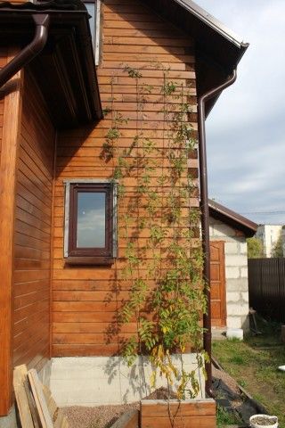 Изображение 735