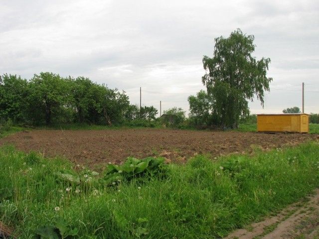 IMG 0918
