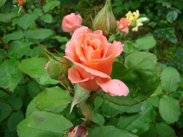 2013 06 21 001 148