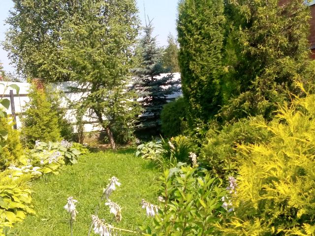 IMG 20150727 143622