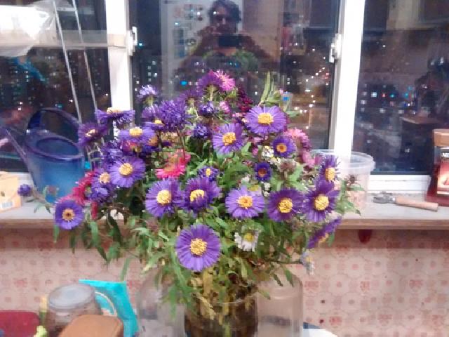 IMG 20151021 202203