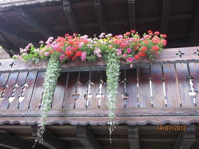 IMG 0284