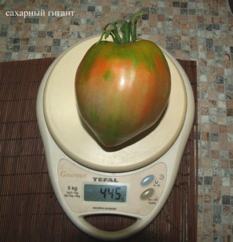 томат Сахарный Гигант1