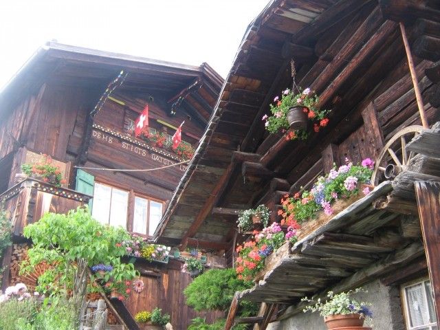 IMG 1615