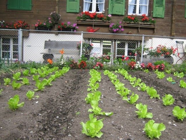IMG 1688