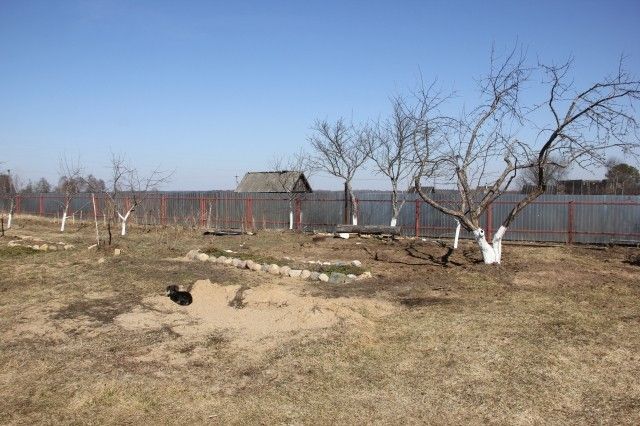 роща