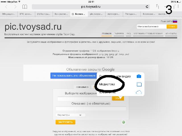 IMG 6420 24 05 17 11 07