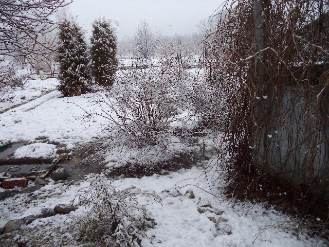 DSC00834