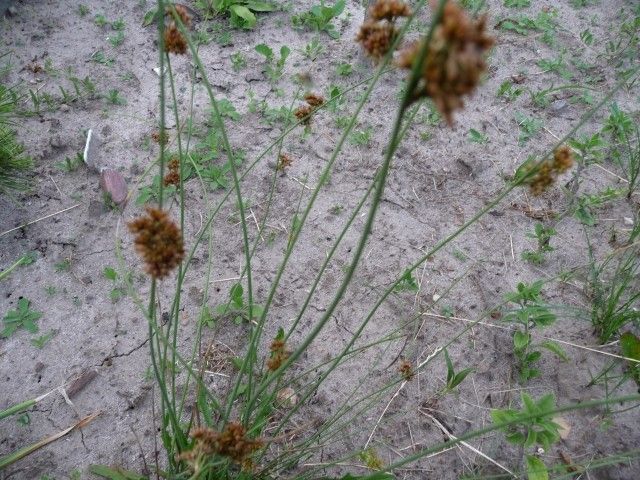 P1040289