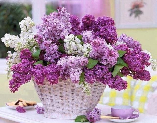 orig c60bdca501ee7deec198f514cb8defb5