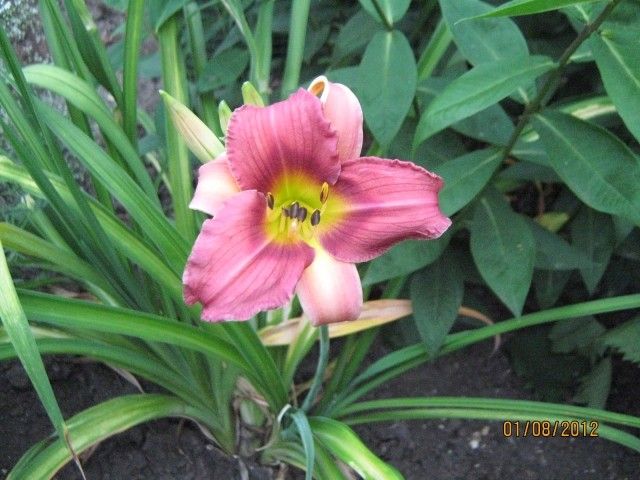 IMG 3895