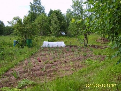 Парник из более толстых труб